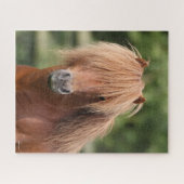 Chestnut Shetland Pony Stallion headshot Legpuzzel (Horizontaal)