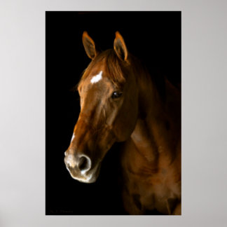 Chestnut Thoroughbred Poster