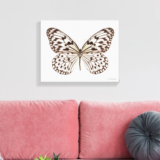 Chestnut Tiger Butterfly Canvas Afdruk (Insitu (Woonkamer))