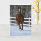 Chestnut Trakehner Stallion in de sneeuw Kaart (Gele Bloem)