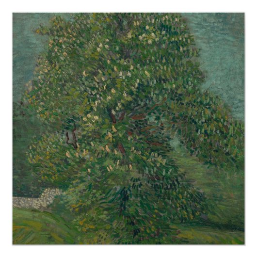 chestnut tree in bloom  perfect poster (Voorkant)