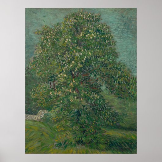 chestnut tree in bloom  poster (Voorkant)