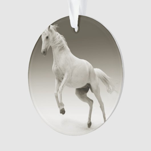 cheval (devant)