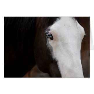 Cheval