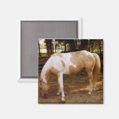 Cheval 3, aimant (Recto/Verso)