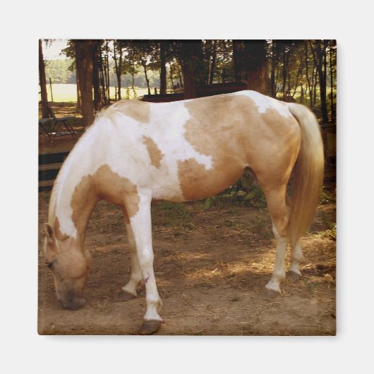 Cheval 3, aimant (Devant)