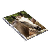 Cheval 4 Carnets (Côté Droit)