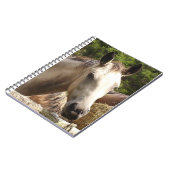 Cheval 4 Carnets (Côté gauche)