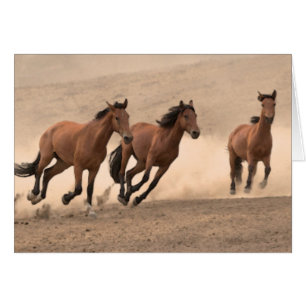 Cheval À L'Automne II