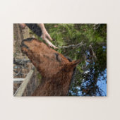 Cheval amis pour toujours, Puzzle (Horizontal)
