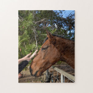 Cheval amis pour toujours, Puzzle
