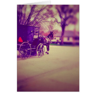 Cheval Amish et Buggy