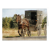 Cheval Amish et Buggy (Devant horizontal)