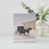 Cheval Amish et Buggy sur la route hivernale Carte (Debout devant)