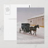 Cheval Amish et Buggy sur la route hivernale Carte (Devant / Derrière)