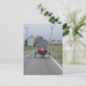 Cheval amish et carte postale avec des erreurs (Debout devant)