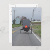 Cheval amish et carte postale avec des erreurs (Devant / Derrière)