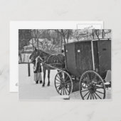 Cheval Amish et carte postale Buggy (Devant / Derrière)