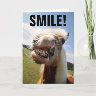 CHEVAL AMOUREUX FUNNY CARTES DE SALUT D'ANNIVERSAI