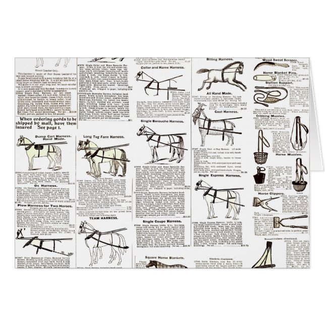 Cheval Antique Publicité Journal Art (Devant horizontal)