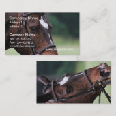 Cheval arabe avec le blanc sur le carte de visite (Devant / Derrière)