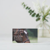 Cheval arabe avec le blanc sur le carte de visite (Debout devant)