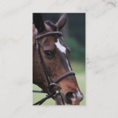 Cheval arabe avec le blanc sur le carte de visite (Dos)