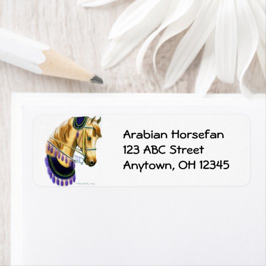 Cheval arabe en Étiquette costume (En situation)