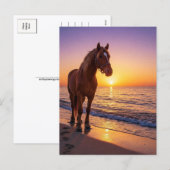 Cheval au coucher de soleil sur la carte postale c (Devant / Derrière)