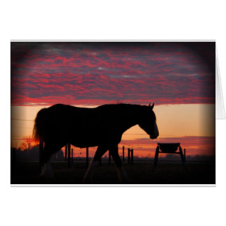 Cheval au coucher du soleil