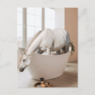 Cheval Baignoire Bain Art Salle de bain Carte post