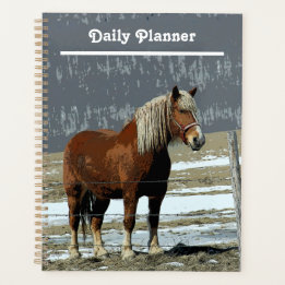 Cheval Belge À Paddock Daily Planner