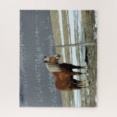 Cheval Belge À Paddock Jigsaw Puzzle (Vertical)