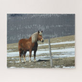 Cheval Belge À Paddock Jigsaw Puzzle (Horizontal)