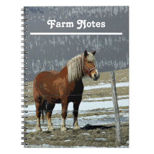 Cheval Belge En Carnet Spiral De Paddock
