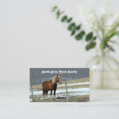Cheval Belge En Carte de visite Paddock (Debout devant)