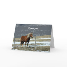 Cheval Belge En Paddock Carte De Voeux