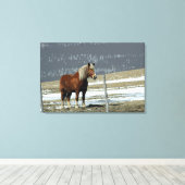 Cheval Belge En Toile De Paddock (Insitu (Plancher de Bois))