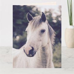 CHEVAL BLANC BIENTÔT BIENVENUE Cartes de voeux