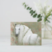 Cheval Blanc - Carte postale (Debout devant)