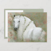 Cheval Blanc - Carte postale (Devant / Derrière)