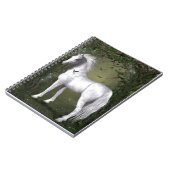 Cheval blanc dans le Carnet des Bois (Côté gauche)