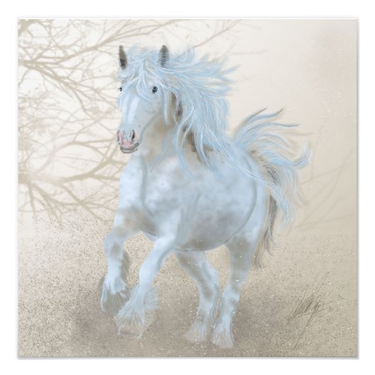 Cheval Blanc - élargissement photo (Devant)