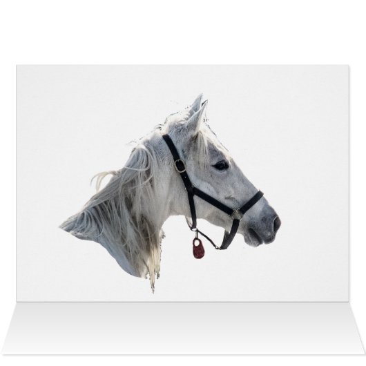 Cheval Blanc En Neige (Intérieur Horizontal (Haut))