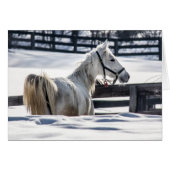 Cheval Blanc En Neige (Devant horizontal)