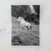 Cheval blanc et carte de voeux Cheval cascade (Intérieur)