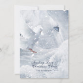 Cheval blanc magique et colombe sur glace - Carte  (Devant)