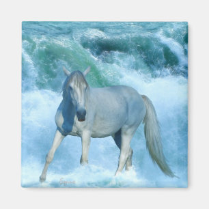 Cheval blanc & Rolling Ocean Surf Magnet d'art