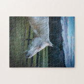 Cheval blanc sur la ferme avec le puzzle du ciel b (Horizontal)