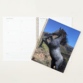 Cheval bleu de la route Élevage dans le désert (Devant avec enveloppe)